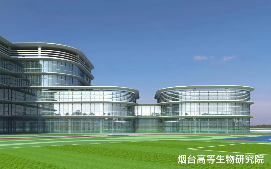 大跨度 高精度 超節(jié)能|鳳鋁助力菸臺城市更新，展登州新貌